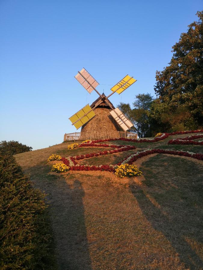 Symphony Du Vivant Lautrec Zewnętrze zdjęcie